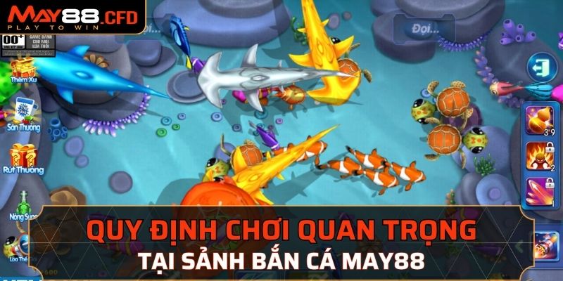 Quy định chơi quan trọng tại bắn cá May 88